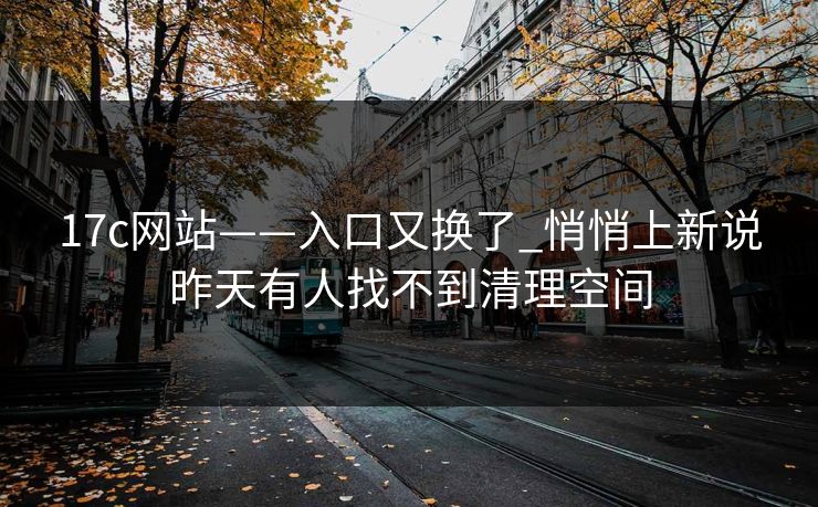 17c网站——入口又换了_悄悄上新说昨天有人找不到清理空间