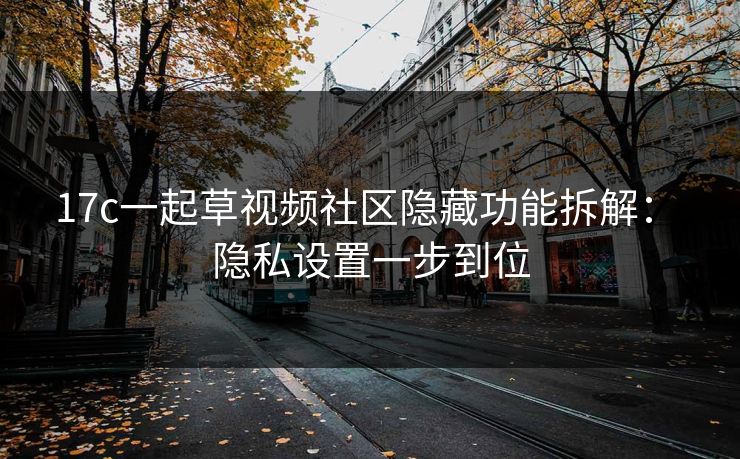 17c一起草视频社区隐藏功能拆解： 隐私设置一步到位