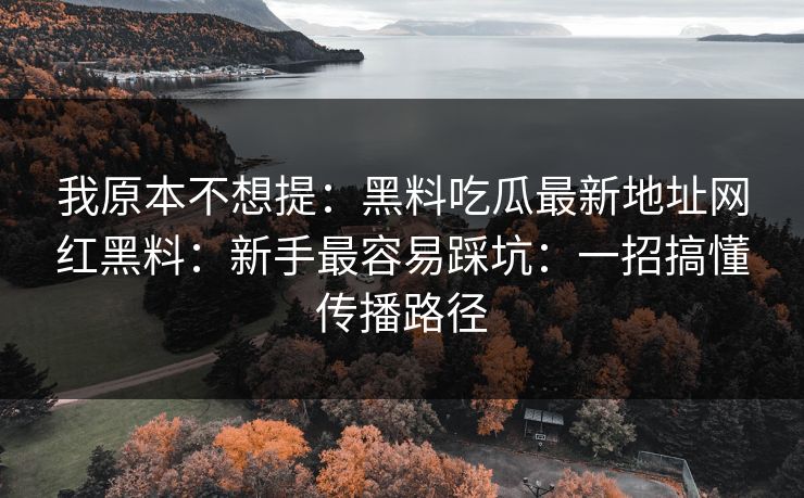 我原本不想提：黑料吃瓜最新地址网红黑料：新手最容易踩坑：一招搞懂传播路径